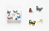 A Memory Game: Butterfly Wings
