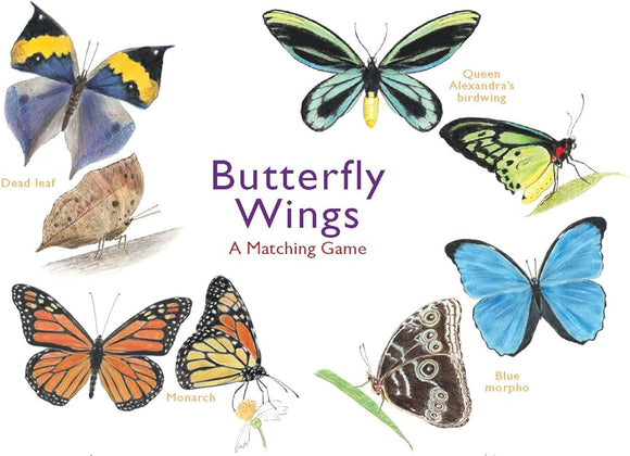 A Memory Game: Butterfly Wings