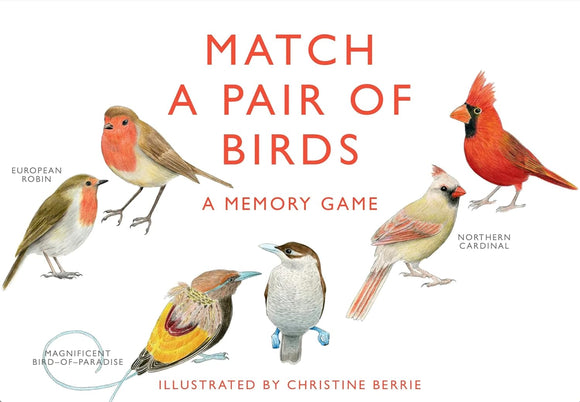 A Memory Game: Match a Pair of Birds