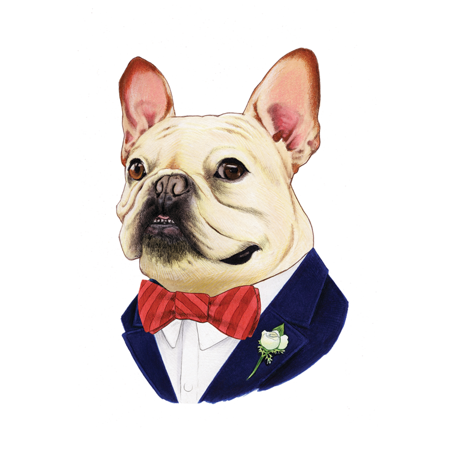 Set Di 4 Sottobicchieri Con Bulldog Francese, Regalo Simpatico Per Ragazze E Amanti Dei Cani, 9,5x9,5 Cm