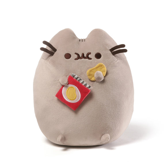 Pusheen with Chips 9.5