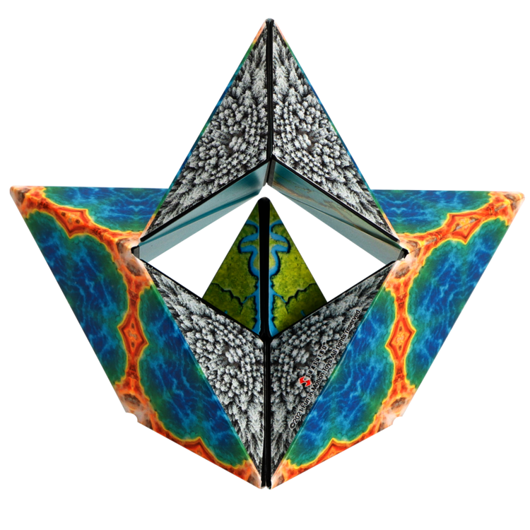 Shashibo Earth Growing Tree Toys