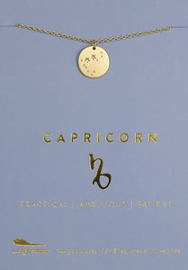 Lucky Feather Zodiac Necklace: Capricorn
