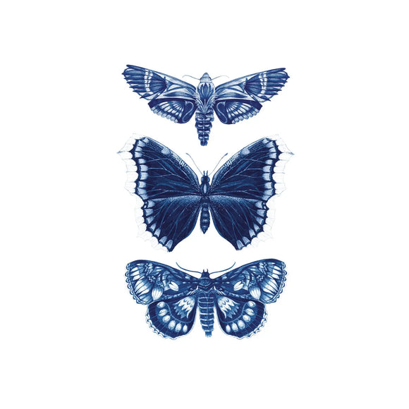 Tattly Pairs Sapphire Moths Tattoo