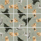Squzzle Puzzle: Dogs