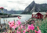 Ravensburger Puzzle 1000 piece Scandinavian Places - Reine Lofoten Norway