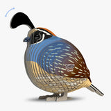 EUGY Cardboard Model Kit: Quail