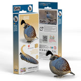 EUGY Cardboard Model Kit: Quail