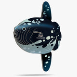 EUGY Cardboard Model Kit: Ocean Sunfish