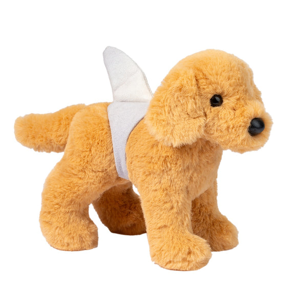 Douglas Sharky Golden Retriever 7
