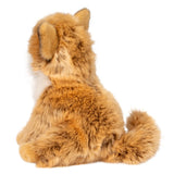 Douglas Dove Pomsky 9"