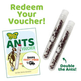 Butterfly Garden® Ant Hill™ Tunneling Kit with Prepaid Voucher