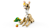 LEGO® Creator 3-in-1: Cute Bunny 31162