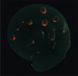 Crazy Aaron's® Thinking Putty® Stocking Stuffers Mini Tin Assortment 2025