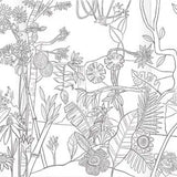 eeBoo Fold Out Coloring Book: Bugs, Birds & Butterflies