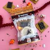 Earth Grown KidDough: Mini Bagged Sensory Kit: S'mores
