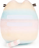 Pusheen Rainbow Ombre 9.5"