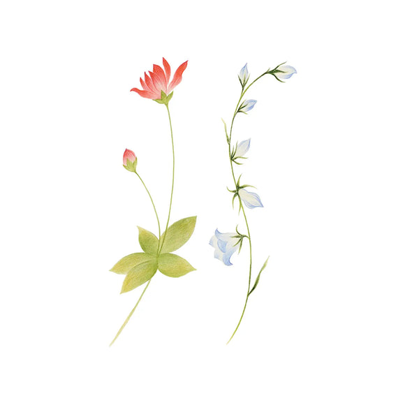 Tattly Pairs Spring Sprigs Tattoo