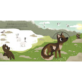 Animal Magic: In the Snow