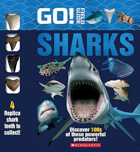 Go! Field Guide: Sharks