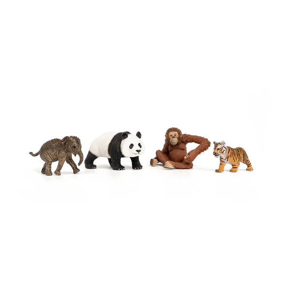 Schleich Wild Life Asia Starter Set – Growing Tree Toys