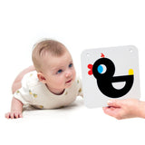 Banana Panda® High Contrast Baby Cards