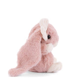Bukowski Bears: Kanina - Antique Pink 6"