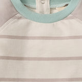 Burt's Bees Organic Baby Jumpsuit Basic Stripe