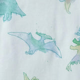 Burt's Bees Organic Baby Sleeper Romper Watercolor Dinos Rain