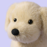 Jellycat Golden Puppy 8"