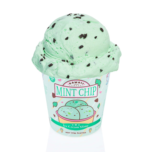 Kawaii Slime: Mint Chip Scented Ice Cream Pint Slime