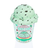 Kawaii Slime: Mint Chip Scented Ice Cream Pint Slime