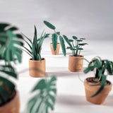 Pikki Origami Kit: Paper Plants