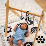 Manhattan Toy® Wimmer Bullseye Ball