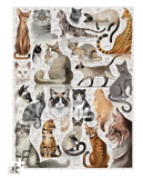 Crocodile Creek 200 Piece Puzzle: Cat Breeds