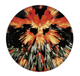 Waboba® Wingman Pro Disc