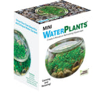 Silver Circle Products Inc.: Mini WaterPlants™️