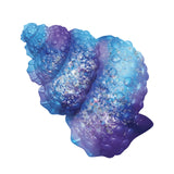 ORB™️ Curiosities Taba-Licious Sea Shells