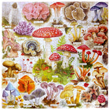 eeBoo 1000 Piece Puzzle Bountiful Mushrooms