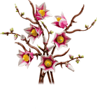 LEGO® Botanicals: Magnolia Branches 11510