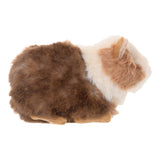 Bukowski Bears: Piggy Guinea Pig 6"
