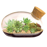 Silver Circle Products Inc.: The Succulent Star Mouse