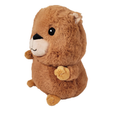 Warm Pals: Clara Capybara