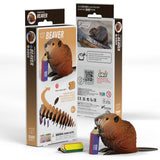 EUGY Cardboard Model Kit: Beaver