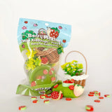 Earth Grown KidDough: Mini Bagged Sensory Kit: Berry Picking
