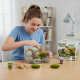 Silver Circle Products Inc.: Bonsai Moss & Rock Garden Wave Terrarium