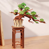 Hands Craft Wooden Bloom Craft: Evergreen Pine Bonsai