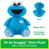 GUND Disney Oh-So-Snuggly Cookie Monster 12.5"