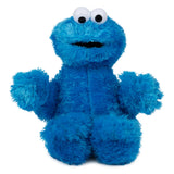 Sesame Street Cookie Monster 12"