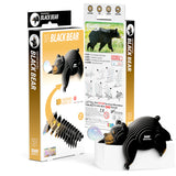 EUGY Cardboard Model Kit: Black Bear